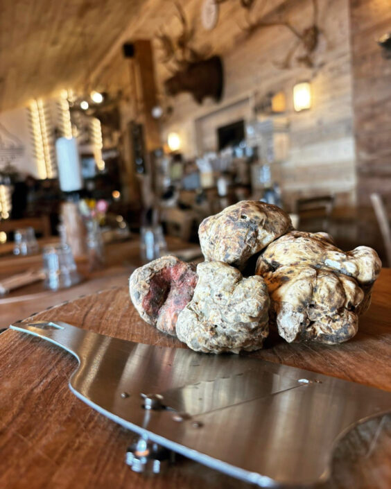 E44B2DAB-D116-475A-90C4-51EE8E7F5746